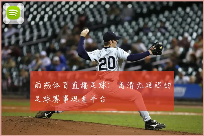 雨燕体育直播足球：高清无延迟的足球赛事观看平台