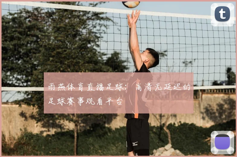 雨燕体育直播足球：高清无延迟的足球赛事观看平台