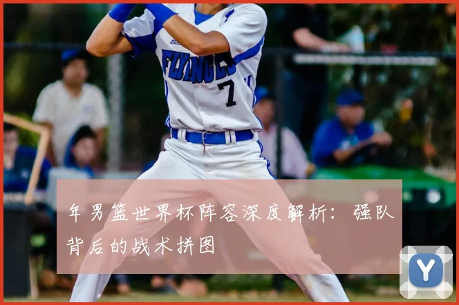 年男篮世界杯阵容深度解析：强队背后的战术拼图