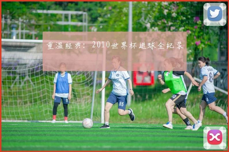 重温经典:2010世界杯进球全纪录