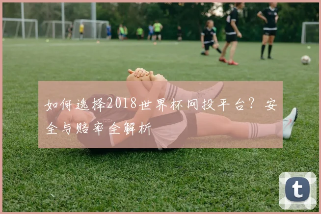 如何选择2018世界杯网投平台？安全与赔率全解析
