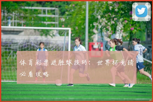 体育彩票进胜球技巧:世界杯竞猜必看攻略