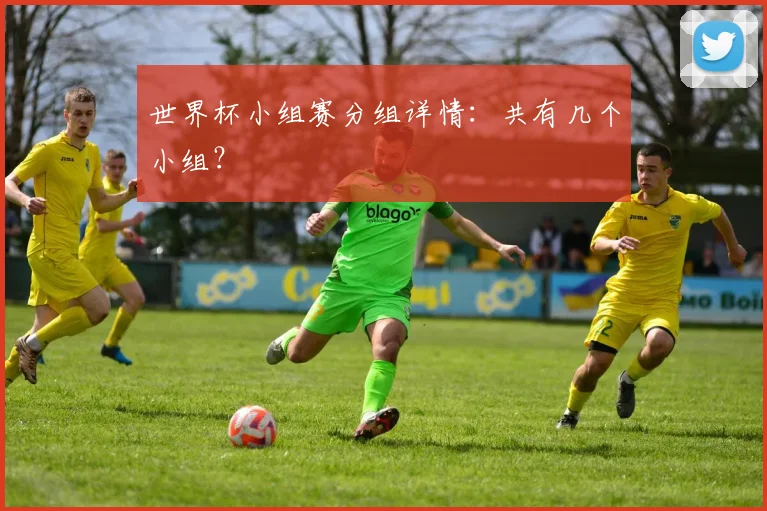 世界杯小组赛分组详情：共有几个小组？