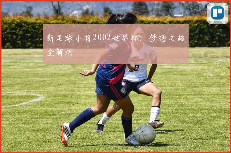 新足球小将2002世界杯：梦想之路全解析