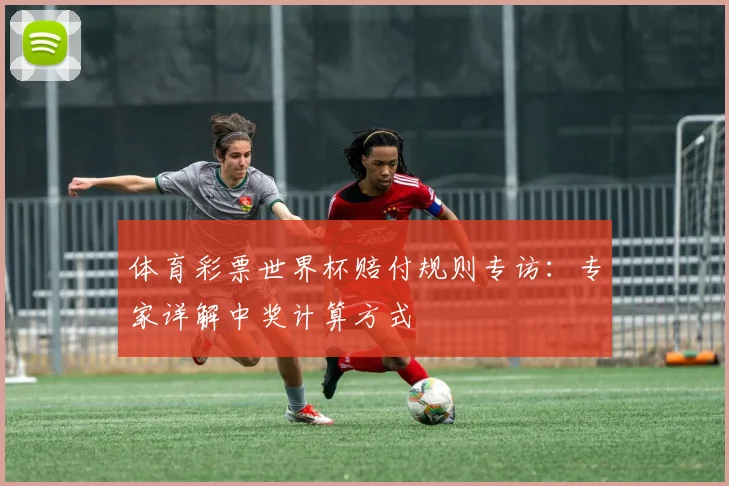 体育彩票世界杯赔付规则专访:专家详解中奖计算方式