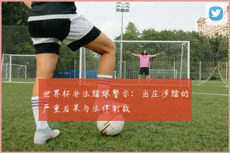 世界杯非法赌球警示：当庄涉赌的严重后果与法律制裁